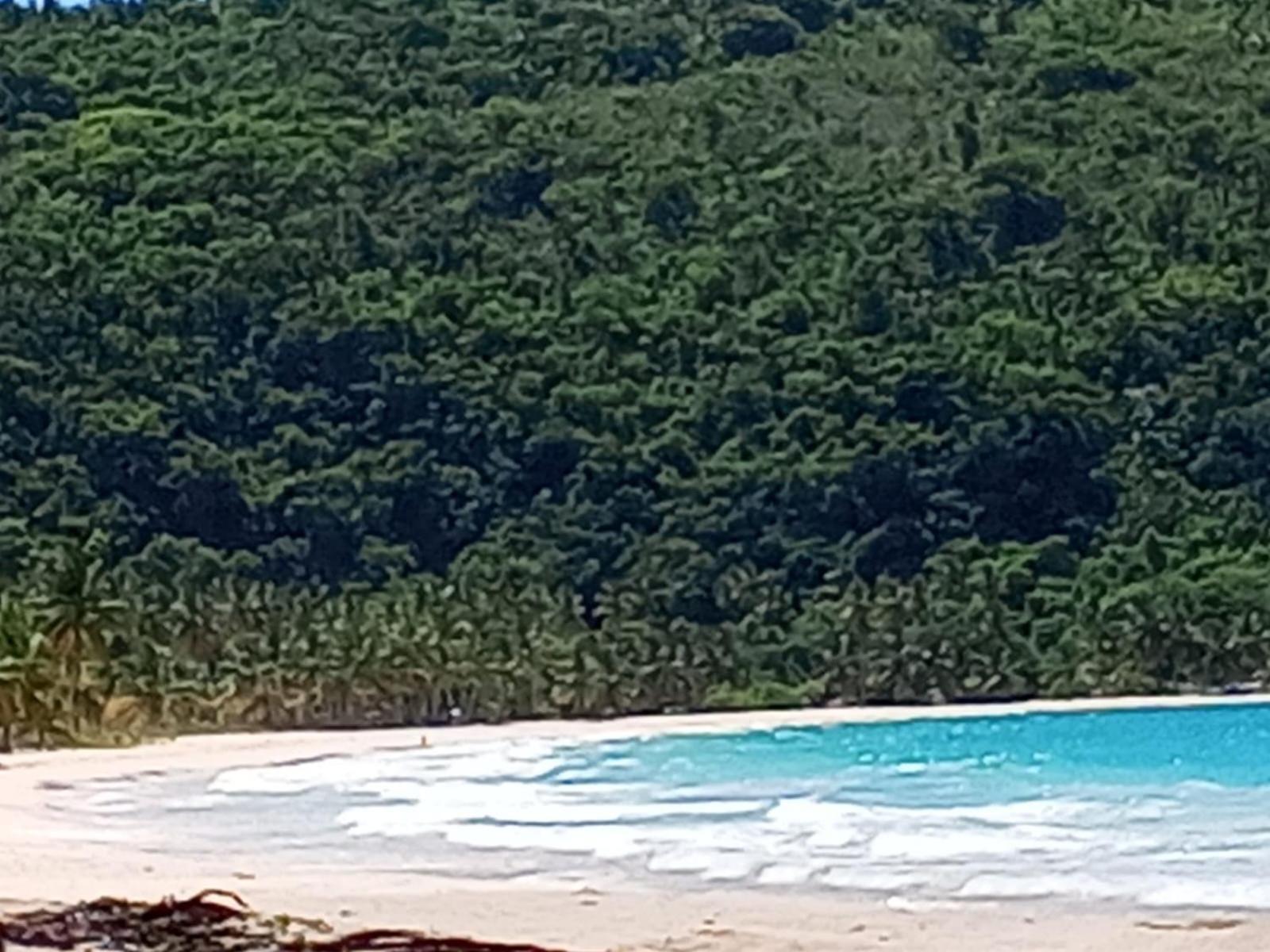 Bungalows India, El Valle, Samana Экстерьер фото